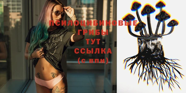 ECSTASY Михайловск