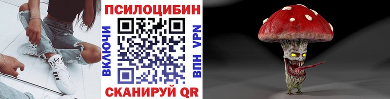 Псилоцибиновые грибы Psilocybe  Купить где  Химки 